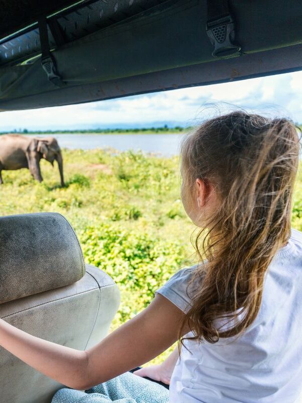 Udawalawe National Park